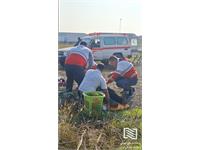 برگزاری مانور اطفای حریق و امداد و نجات در محوطه گمرک آستارا 3